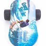 Баланс борд Elements Eight (восьмерка) Сrazy Surfer